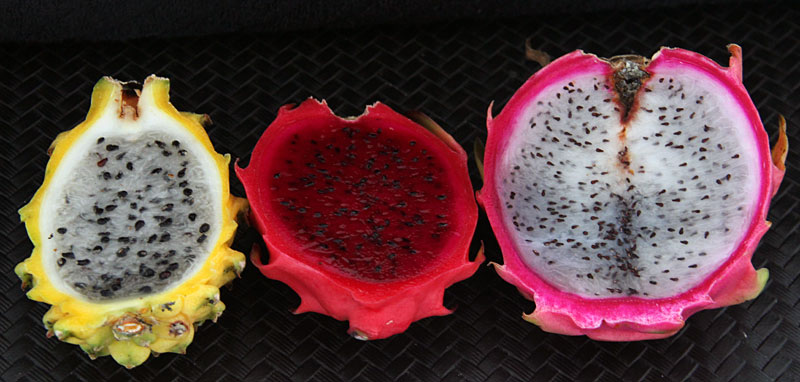 Como comer Pitaya, a fruta dragão